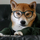 张阳's avatar